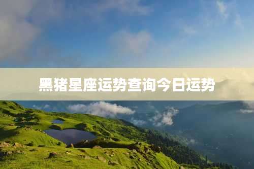 黑猪星座运势查询今日运势