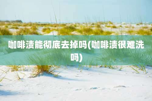 咖啡渍能彻底去掉吗(咖啡渍很难洗吗)