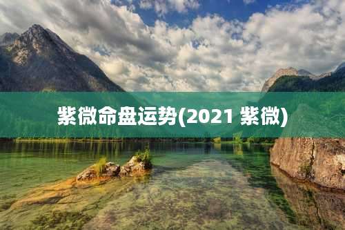 紫微命盘运势(2021 紫微)