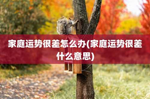 家庭运势很差怎么办(家庭运势很差什么意思)