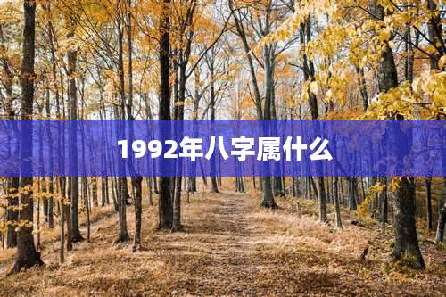 1992年八字属什么
