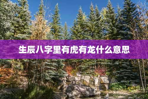 生辰八字里有虎有龙什么意思