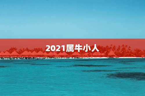 2021属牛小人