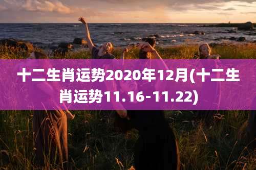 十二生肖运势2020年12月(十二生肖运势11.16-11.22)