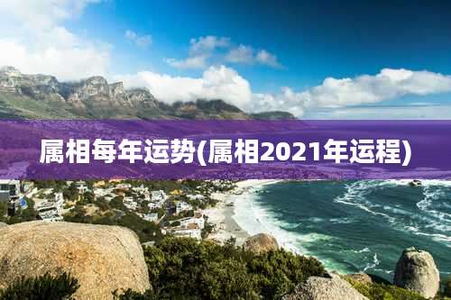 属相每年运势(属相2021年运程)
