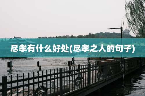 尽孝有什么好处(尽孝之人的句子)