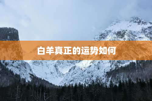 白羊真正的运势如何