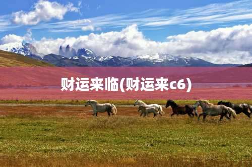 财运来临(财运来c6)