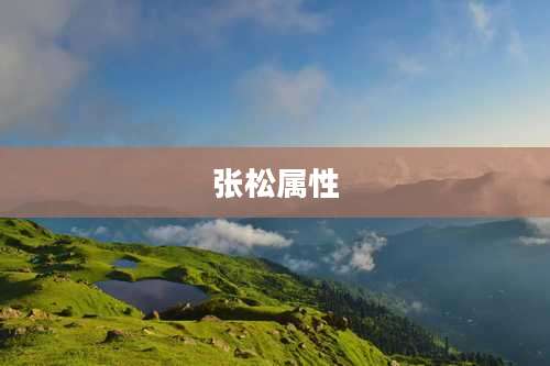 张松属性