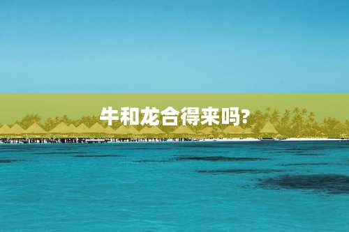 牛和龙合得来吗?