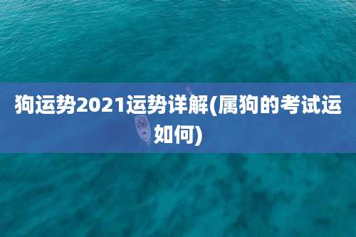 狗运势2021运势详解(属狗的考试运如何)