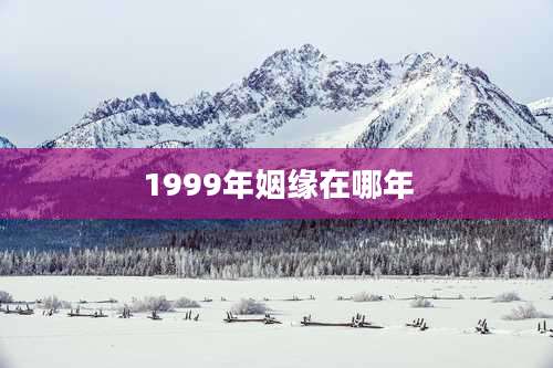 1999年姻缘在哪年