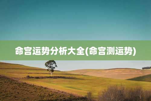 命宫运势分析大全(命宫测运势)