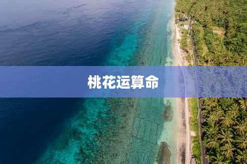 桃花运算命