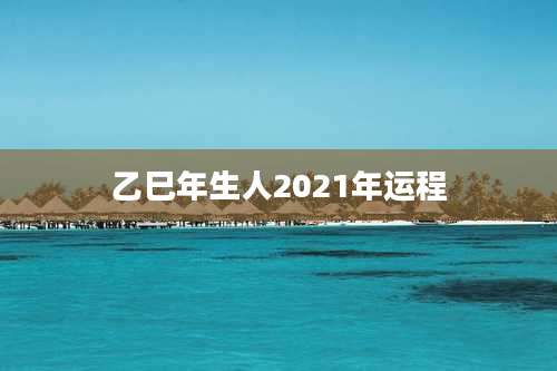 乙巳年生人2021年运程