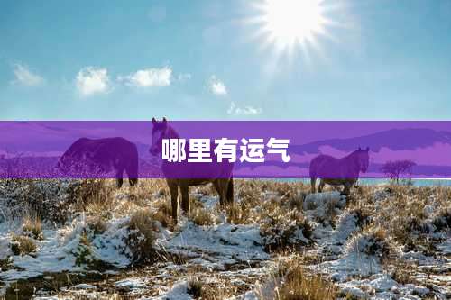 哪里有运气