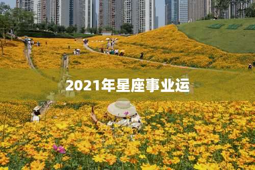 2021年星座事业运