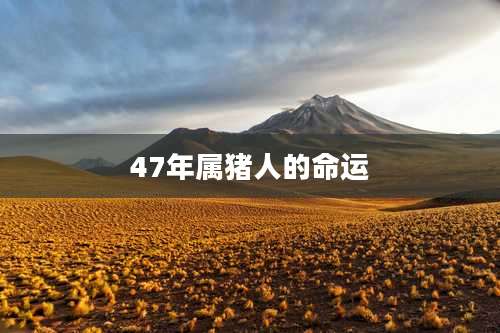 47年属猪人的命运