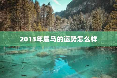 2013年属马的运势怎么样