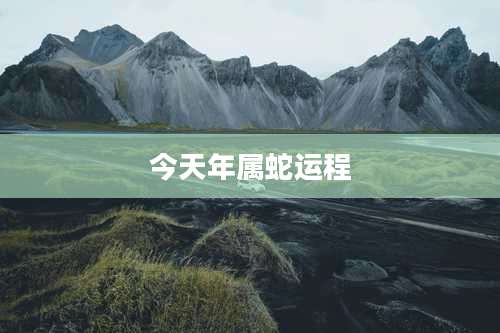 今天年属蛇运程