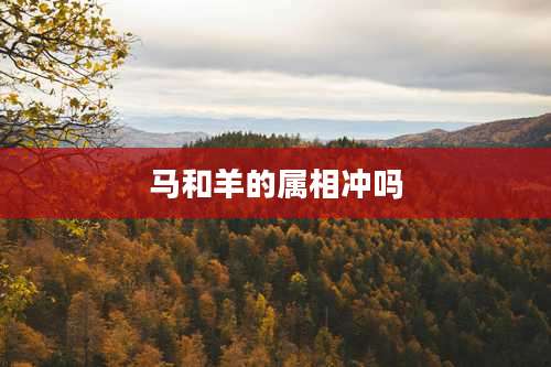 马和羊的属相冲吗