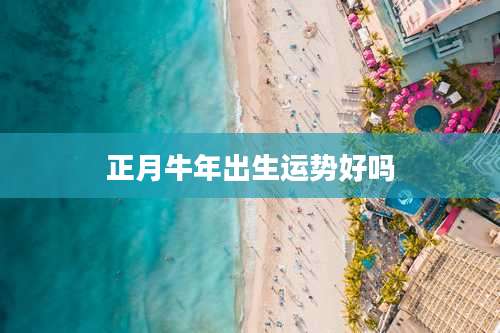 正月牛年出生运势好吗