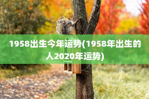 1958出生今年运势(1958年出生的人2020年运势)