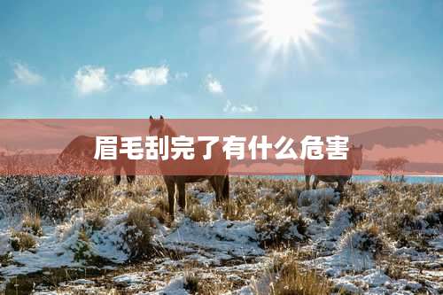 眉毛刮完了有什么危害