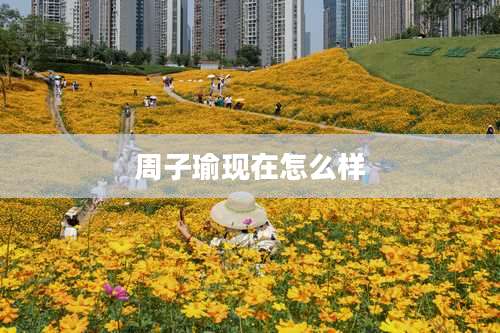 周子瑜现在怎么样