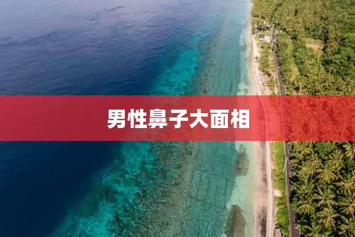 男性鼻子大面相