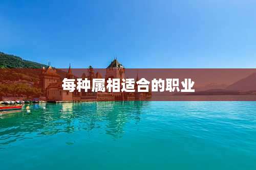 每种属相适合的职业