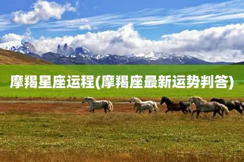 摩羯星座运程(摩羯座最新运势判答)