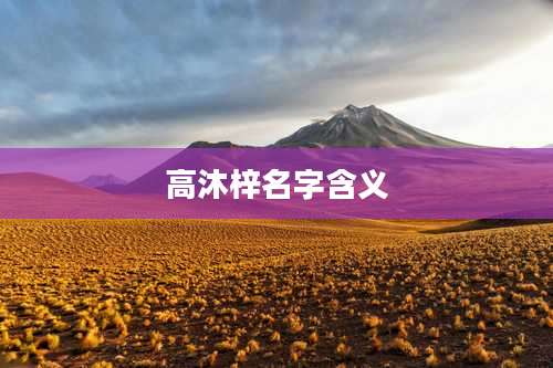 高沐梓名字含义