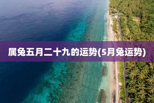 属兔五月二十九的运势(5月兔运势)
