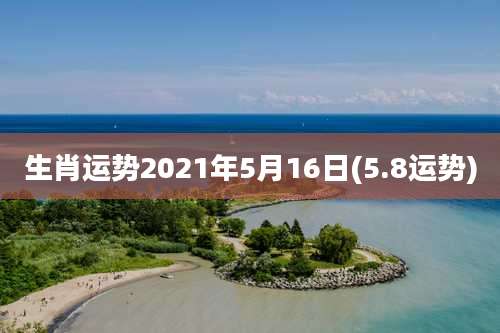 生肖运势2021年5月16日(5.8运势)