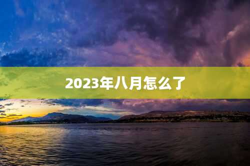 2023年八月怎么了