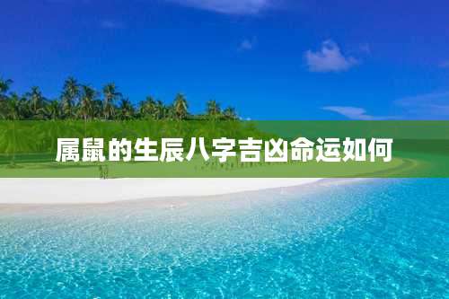属鼠的生辰八字吉凶命运如何