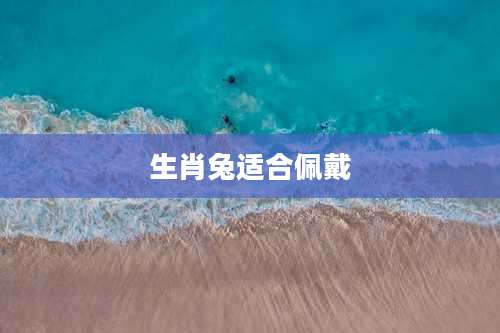 生肖兔适合佩戴