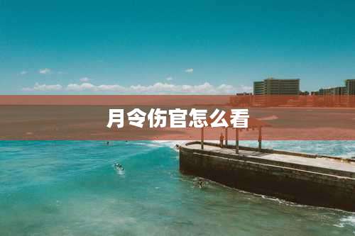 月令伤官怎么看