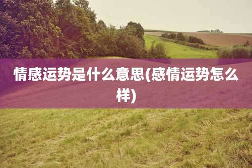 情感运势是什么意思(感情运势怎么样)