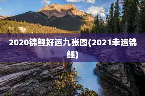 2020锦鲤好运九张图(2021幸运锦鲤)
