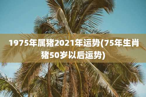 1975年属猪2021年运势(75年生肖猪50岁以后运势)