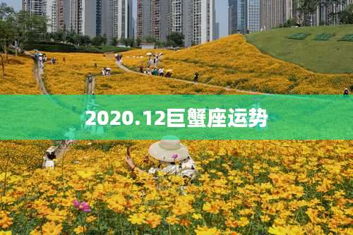 2020.12巨蟹座运势
