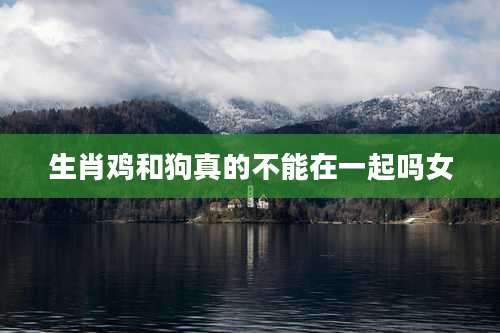 生肖鸡和狗真的不能在一起吗女