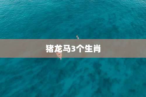 猪龙马3个生肖