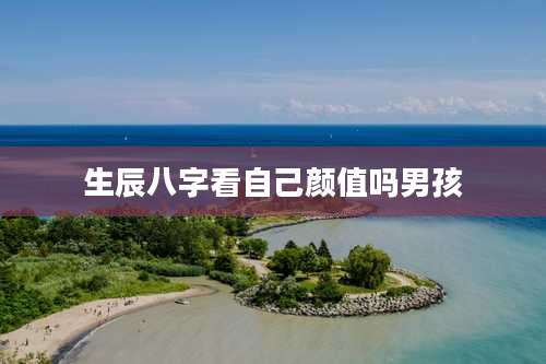 生辰八字看自己颜值吗男孩
