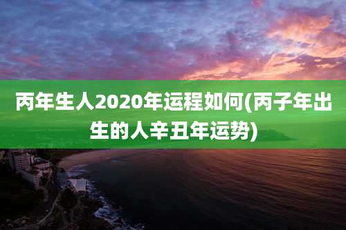丙年生人2020年运程如何(丙子年出生的人辛丑年运势)