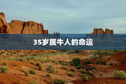 35岁属牛人的命运