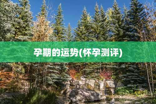 孕期的运势(怀孕测评)