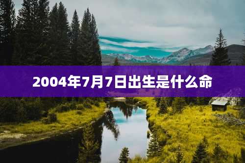 2004年7月7日出生是什么命